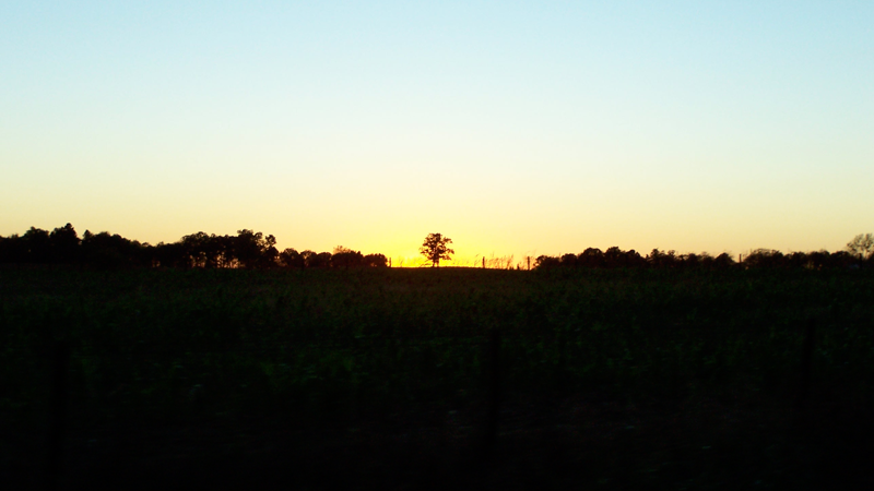 &ldquo;Ask the Lord of the harvest therefore, to send out workers into His harvest field.&rdquo; - Matthew 9:34