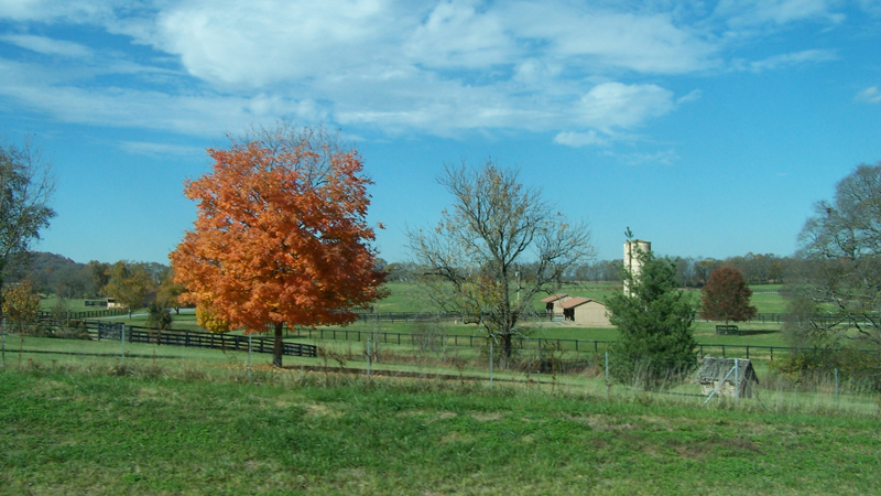 ‎&ldquo;...Sirs, what must I do to be saved? And they said, Believe in the LORD Jesus Christ and thou shalt be saved, and thy house.&rdquo; - Acts 16:30-31